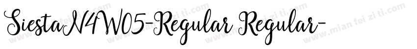 SiestaN4W05-Regular Regular字体转换